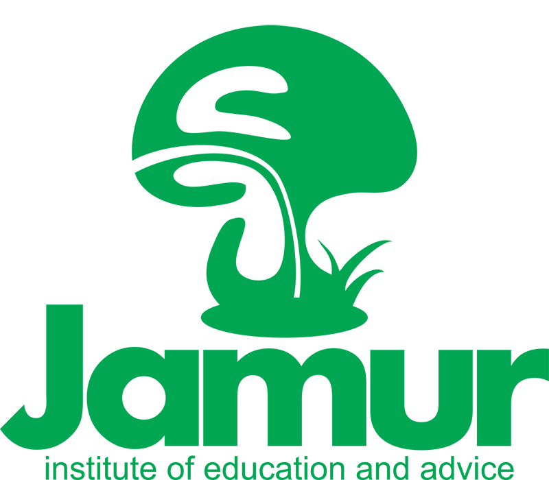 Jamur